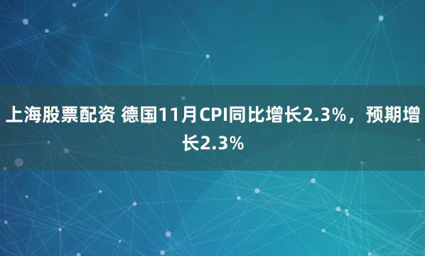 上海股票配资 德国11月CPI同比增长2.3%，预期增长2.3%