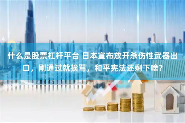 什么是股票杠杆平台 日本宣布放开杀伤性武器出口，刚通过就挨骂，和平宪法还剩下啥？